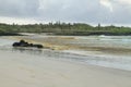 Surfing beach of Tortuga Bay