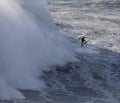 Surfing Big Waves in North Beach, Nazare. Royalty Free Stock Photo