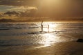 Surfing boys with their boards in the waters of the beach at sunset. Royalty Free Stock Photo