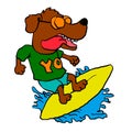 Surfing dog , funny dog . crazy dog Royalty Free Stock Photo