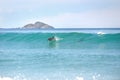 Surfing dolphins