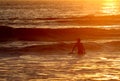 Surfing end of the day Royalty Free Stock Photo