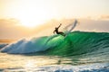 Surfing on a Green Wave at Sunrise Royalty Free Stock Photo