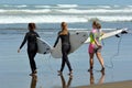 Surfing in Muriwai beach - New Zealand