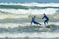 Surfing in Muriwai beach - New Zealand Royalty Free Stock Photo