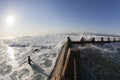 Surfing Ocean Entry Tidal Pool Royalty Free Stock Photo