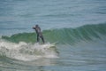 Surfing on the Pacific Ocean at Pismo State Beach in San Luis obispo County, California