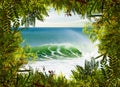 Surfing Paradise Royalty Free Stock Photo