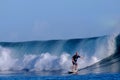 Surfing Samoa Royalty Free Stock Photo