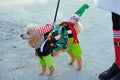 Surfing Santa`s on the beach