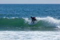 Surfing in Sea Girt New Jersey