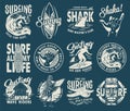 Surfing set of emblems with surfer, syrf on wave