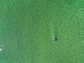 Surfing sport. Man on a white board in the ocean, Sunny day, Aerial top view. Water texture. Outdoor activity concept. Copy space