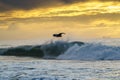 Surfing in Umdloti, KZN, South Africa