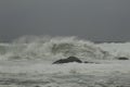 Surfing the waves on the beach of Matosinhos