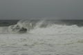 Surfing the waves on the beach of Matosinhos