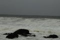 Surfing the waves on the beach of Matosinhos