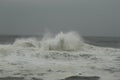 Surfing the waves on the beach of Matosinhos