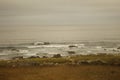 Surfing the waves on the beach of Matosinhos