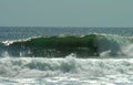 Surfing the waves of Playa Negra Royalty Free Stock Photo