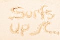 Surfs Up Royalty Free Stock Photo