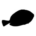 Surgeon fish black silhouette. Isolated object. Marine animal. White background. Vector illustration clipart. Side view Royalty Free Stock Photo
