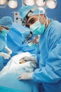 Surgeon looking at camera while colleagues performing operation Royalty Free Stock Photo