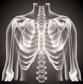 Surgeon radiologist medical examaning lung torso