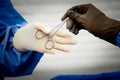 Surgeon`s hand in white latex glove being handed a hemostat by doctor in brown latex glove