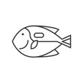 Surgeonfish icon, set of ocean life, line design vector Royalty Free Stock Photo