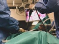 Surgeons using surgical instruments for keyhole surgery, watching the monitor which displays images from inside the patient`s abdo