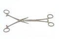 Surgical instrument (hemostat or artery clamp ) on white background