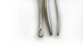 Surgical Instruments used in gynaecology Isolated on the White Background