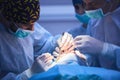 Surgical team performing surgery in modern operation theater,Team of doctors concentrating on a patient during a surgery