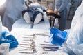 Surgical tools lying on table with nurse near and surgeons at background. Royalty Free Stock Photo