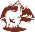 Suri alpaca llama with mountains Royalty Free Stock Photo