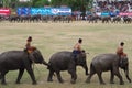 The Surin Elephant Round-up Royalty Free Stock Photo