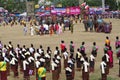 The Surin Elephant Round-up Royalty Free Stock Photo