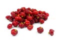 Surinam Cherry Royalty Free Stock Photo