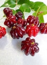 Surinam cherry (Eugenia uniflora) Royalty Free Stock Photo