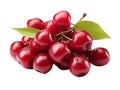 Surinam Cherry Fruit on white background