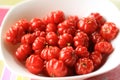 The Surinam cherry is originated from South America Royalty Free Stock Photo