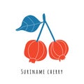 Suriname cherry fruit illustration