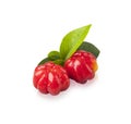 Suriname Cherry, the tropical fruit