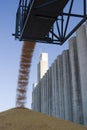 Surplus corn at the silo Royalty Free Stock Photo