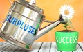 Surpluses helps achieving success - pictured as word Surpluses on a watering can to symbolize that Surpluses makes success grow Royalty Free Stock Photo