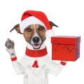 Surprise christmas dog with a present box Royalty Free Stock Photo