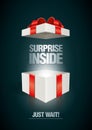 Surprise Inside