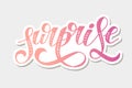 Surprise lettering Calligraphy Brush Text Holiday Vector Sticker