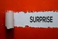 Surprise Text written in torn paper